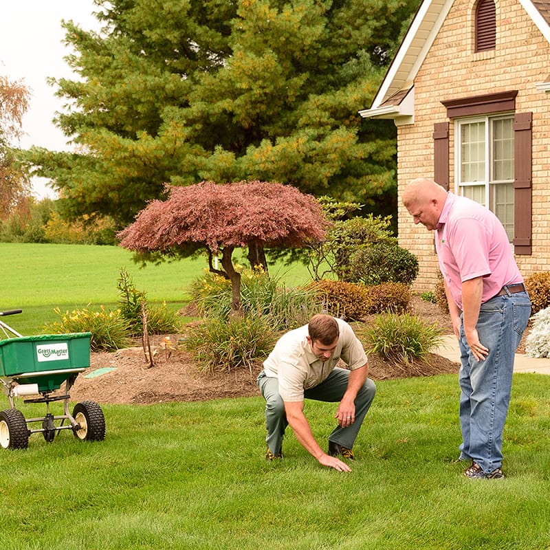 lawn maintenance services
