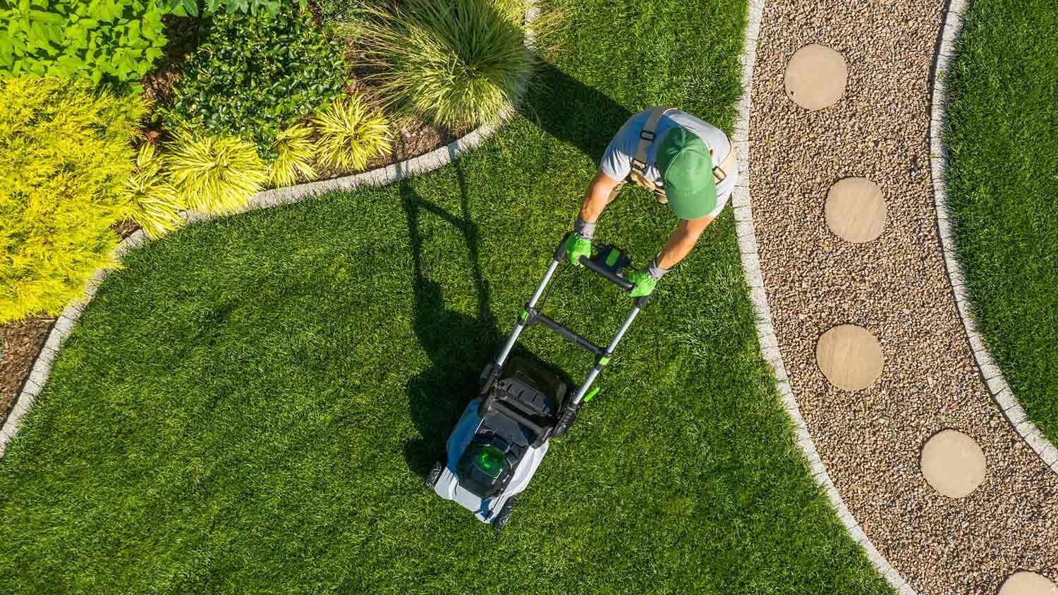 lawn maintenance services
